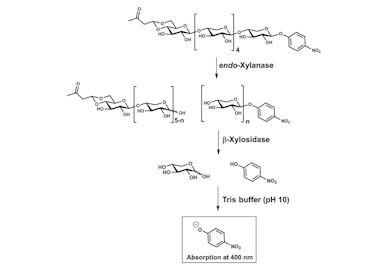 Xylanase Assay Kit (XylX6 Method)